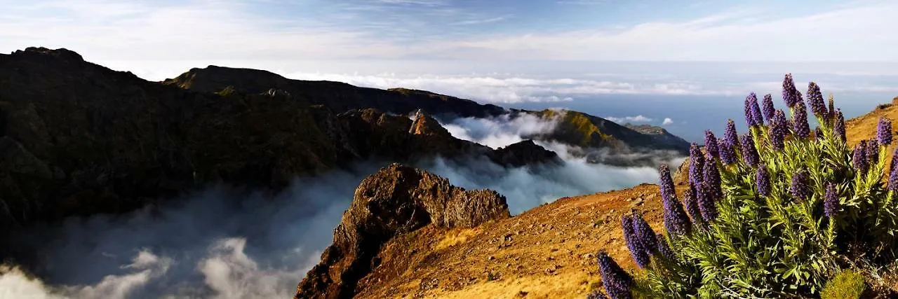 Daire Villa Scirocco Madeira - Ocean View Machico