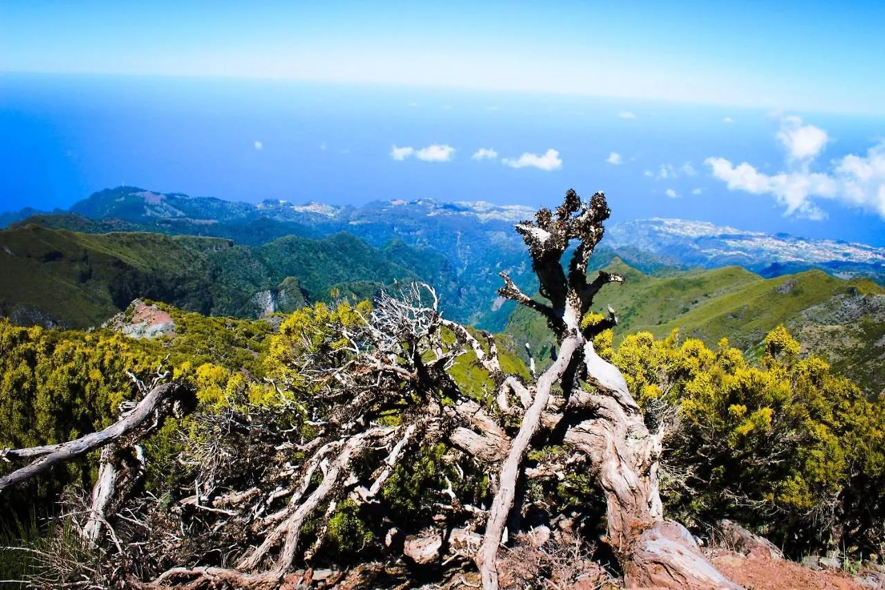Villa Scirocco Madeira - Ocean View Machico  Daire